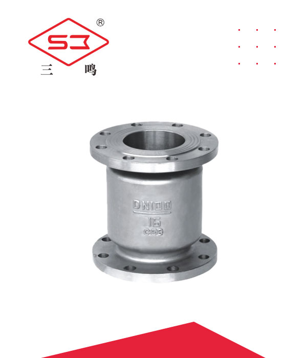 Vertical stainless steel check valve - Stainless steel vertical check valve
