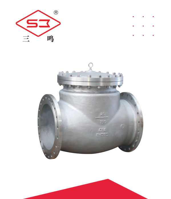 Swing stainless steel check valve - Check valve - stainless steel vertical check valve